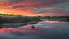 USA-New Jersey-Cape May National Seashore Sunrise on marsh Art Print